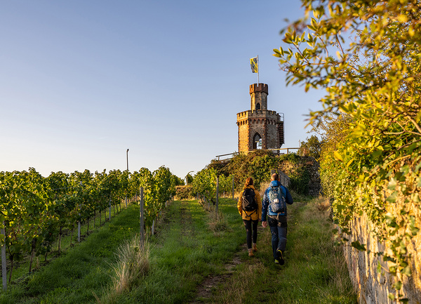 Wandern in der Pflanz mit Übernachtung